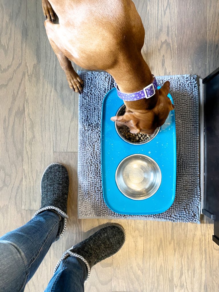 photo of feet in slippers next to dog eating from bowl